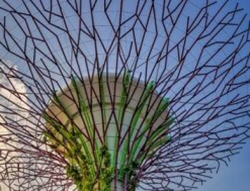 Decolonising the Curriculum in a Time of Pandemic