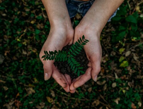 Becoming Solution Finders: Fostering global citizenship and commitment to sustainable development through course assessment